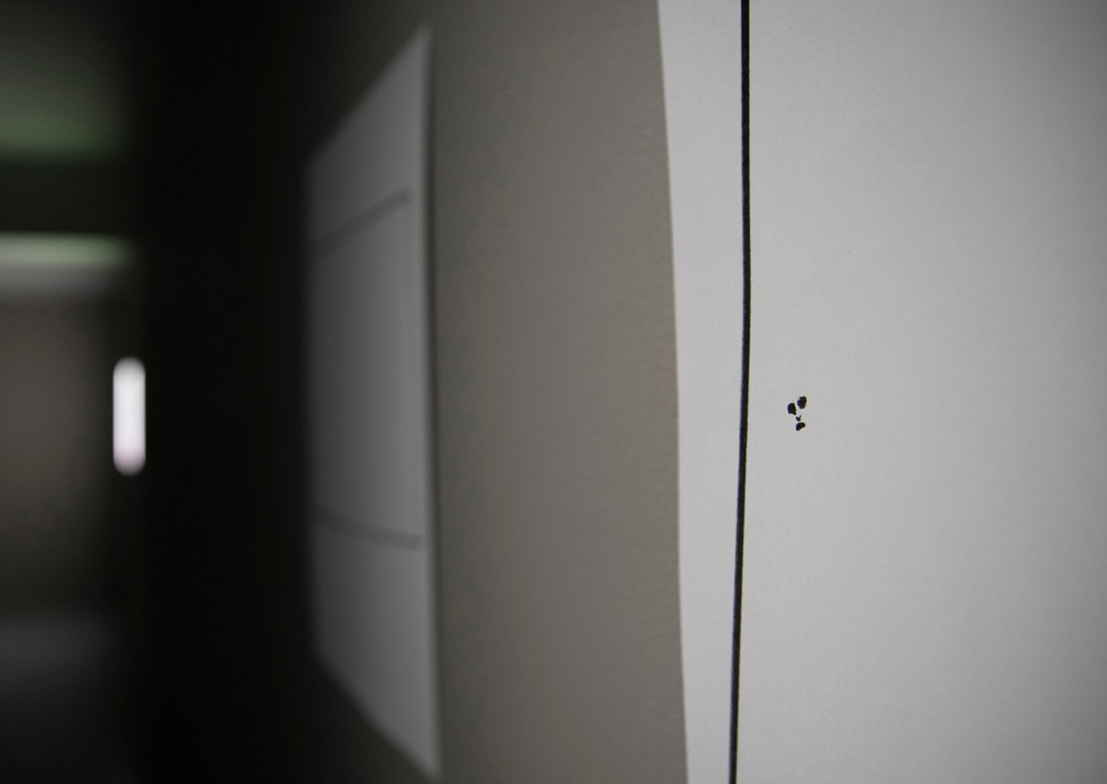 Close-up of risoprint artwork